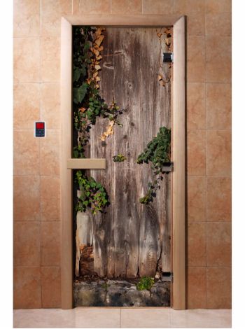 Стеклянная дверь для бани и сауны с фотопечатью 190*70 А030